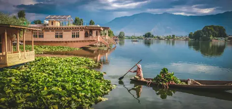 A boatman rowing a shikara on Dal Lake