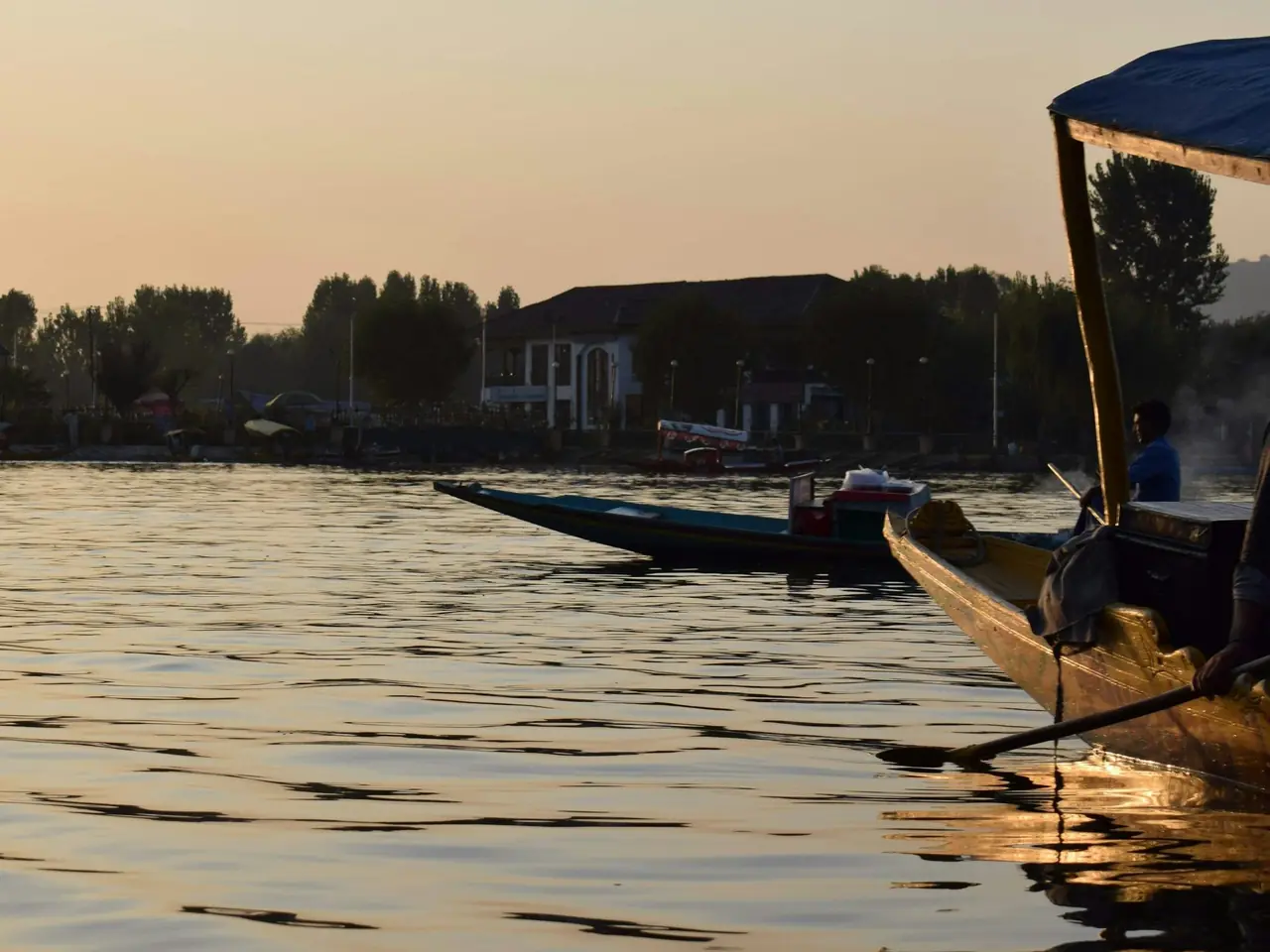 Shikara boats on Dal Lake in golden early light, Srinagar Shikara boats on Dal Lake in golden early light, Srinagar