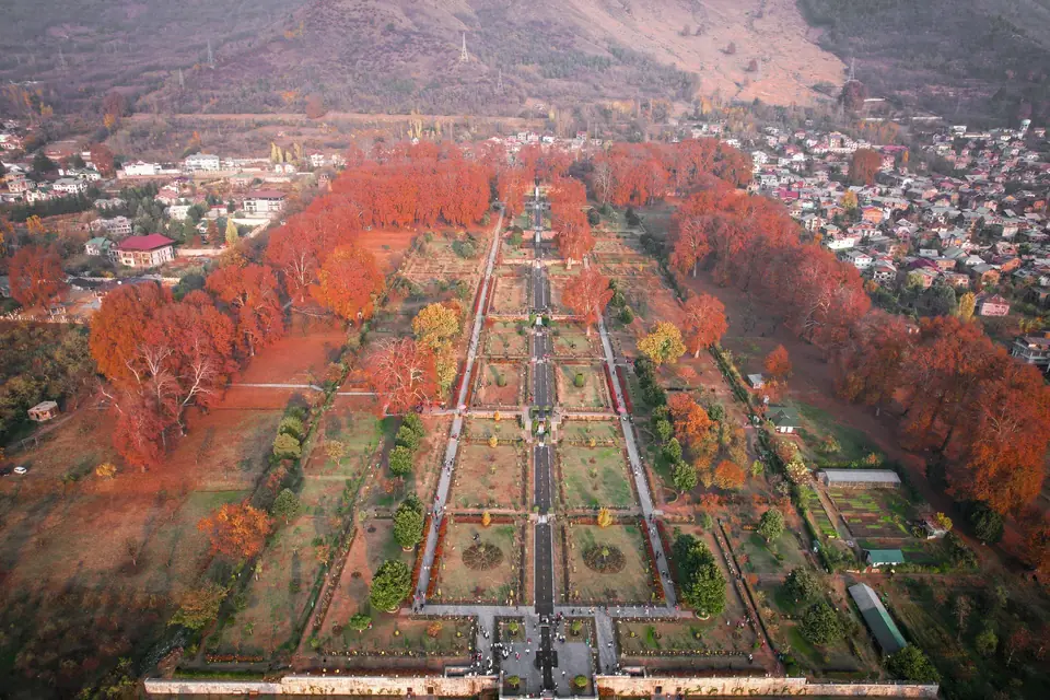 Nishat Bagh seen from above, its chinar trees red in autumn