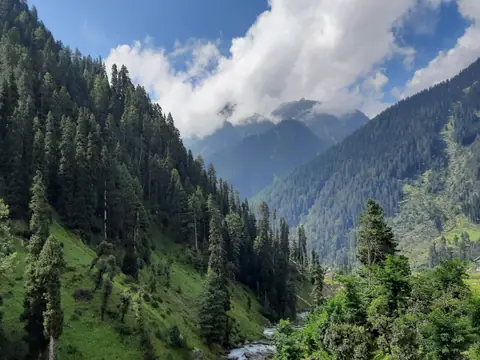 A river winding through a forested valley in Kashmir