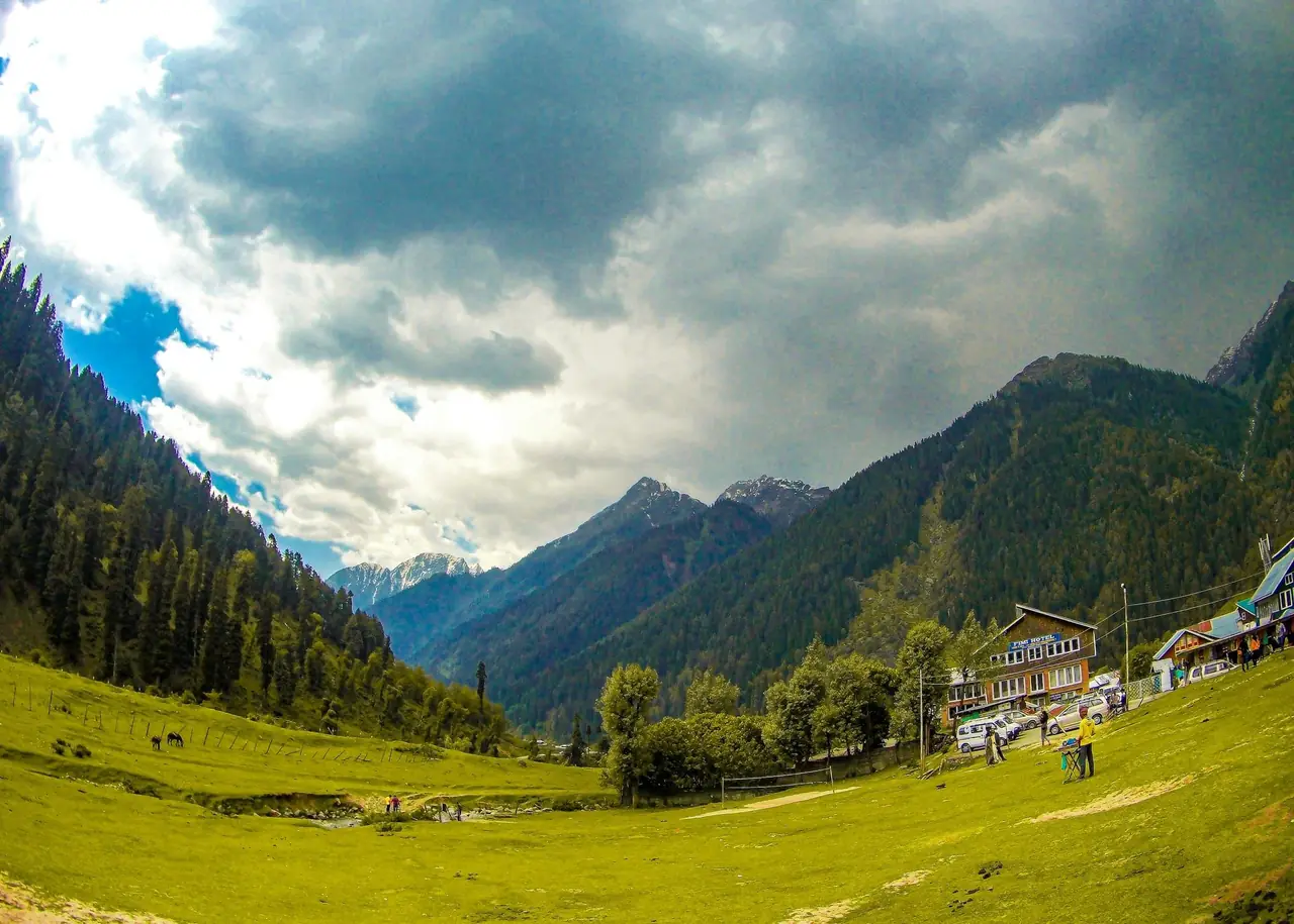 A green meadow and forest in Pahalgam
