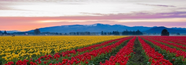 Kashmir Tour Package